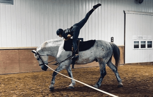 What are the basic moves and routines in equestrian vaulting?