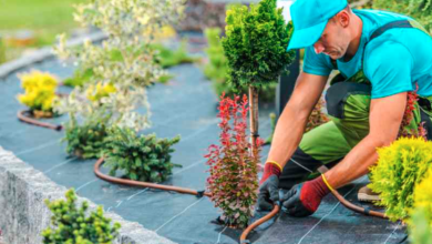 Landscape Contractors