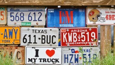 beautiful license plate designs