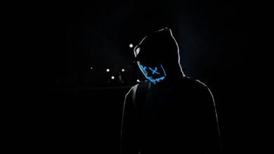 hidden digital entity revealed