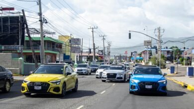unique license plate cars