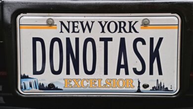 vehicle registration identifier system