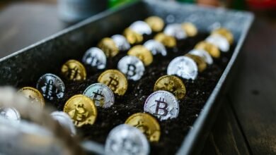 tech stock profit strategies