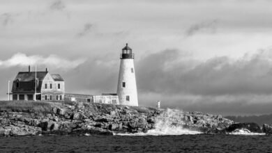 download mozilla d5 2f5 guide