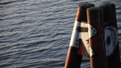 install mozilla d5 2f5 guide