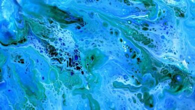 unleash your creative potential