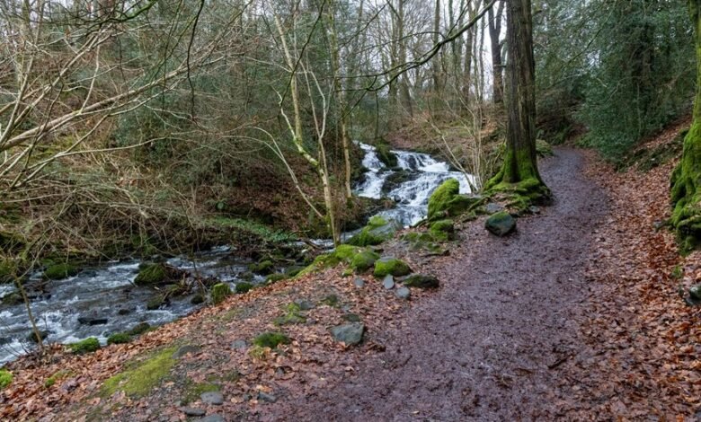 horizon flow growth path