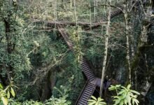 infinity beam opportunity path