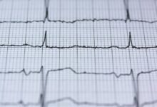 polaris path performance pulse