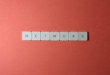 network activity record identifiers