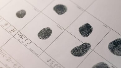 network activity record set ids