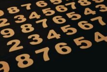 next generation record validation