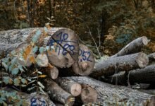 next generation system logs