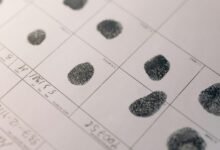 structured digital intelligence records identifiers list