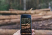 structured digital security log listings phone numbers