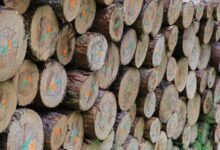 structured security log identifiers listed