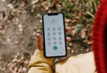 list of caller contact numbers