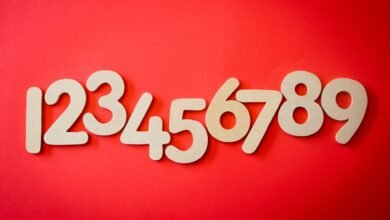 numbers reveal rising history trends