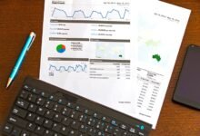 phone numbers identity search findings