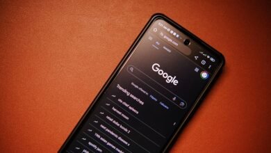 phone numbers identity search findings