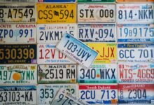 registered numbers review details summarized