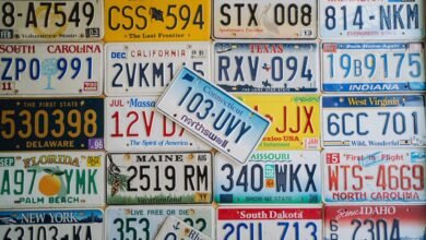 registered numbers review details summarized